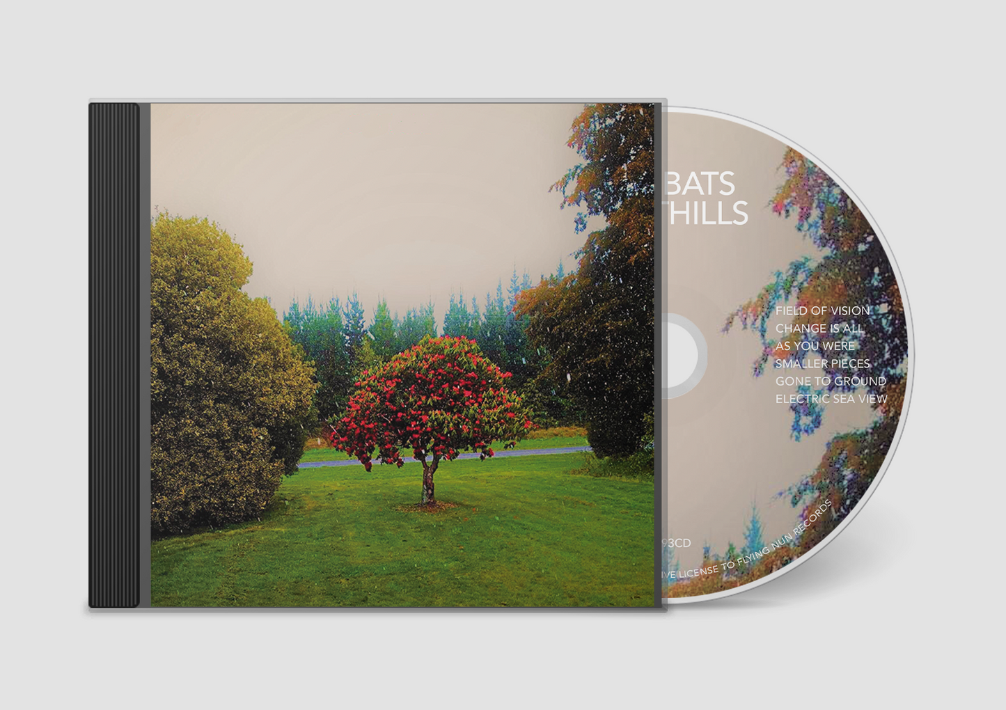The Bats - Foothills