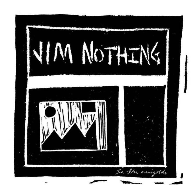 Jim Nothing - In The Marigolds | Vinyl LP