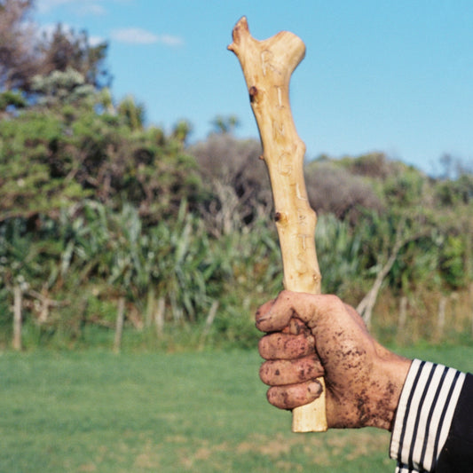 Ringlets - The Lord Is My German Shepherd (Time For Walkies)